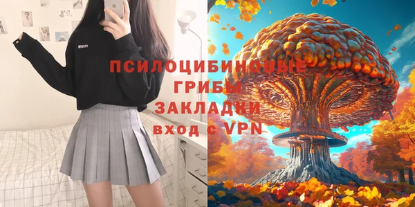 кокс Алексеевка