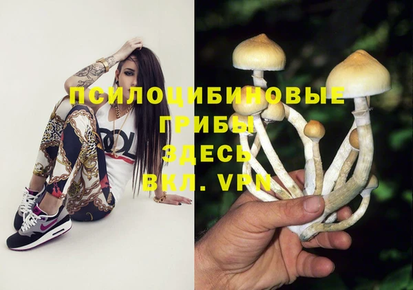 скорость Алзамай