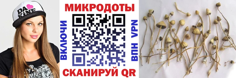 Псилоцибиновые грибы Psilocybe  продажа наркотиков  Пролетарск 